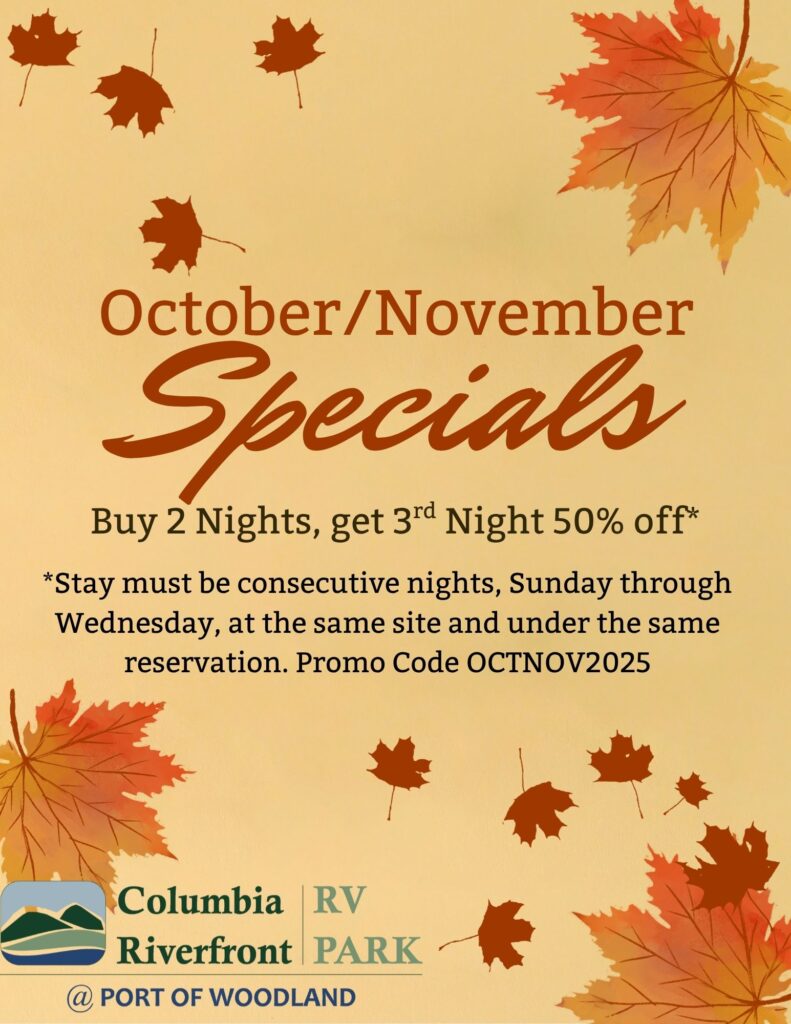orange and brown modern hello october flyer